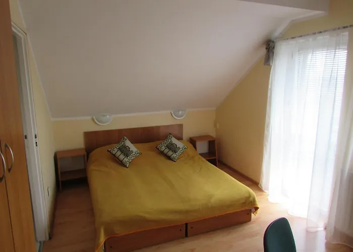 Goscinne Hallera 11 Penzion